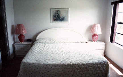 wpe42486.gif (75148 bytes)