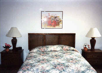 wpe43784.gif (62810 bytes)