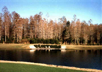 golf01.jpg (15167 bytes)