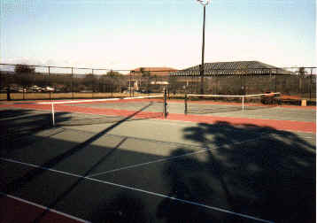 tennis.jpg (10459 bytes)